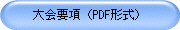 ���v���iPDF�`���j