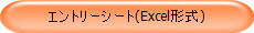 �G���g���[�V�[�g(Excel�`��)